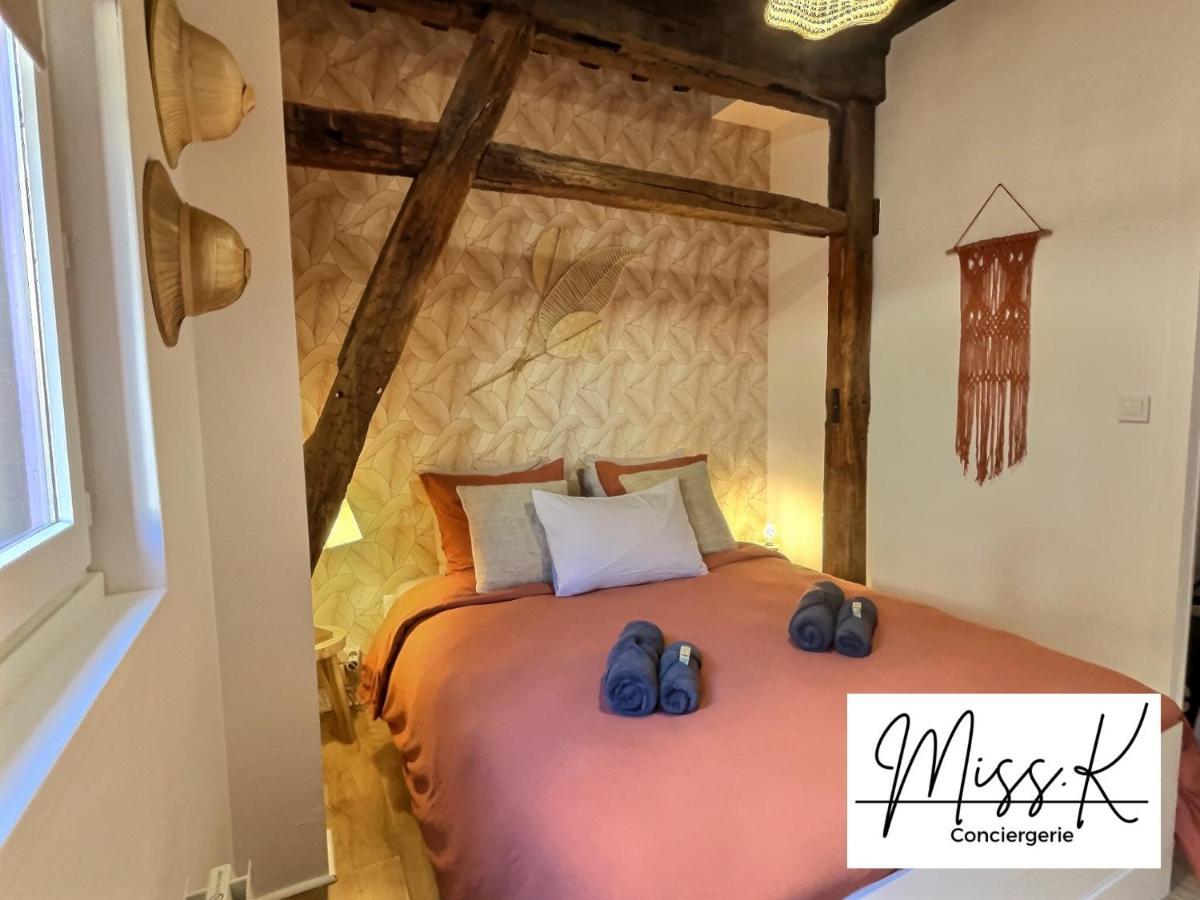 "La Fenetre Sur Le Marche" De Miss.K Conciergerie Lägenhet Châtillon-sur-Chalaronne Exteriör bild